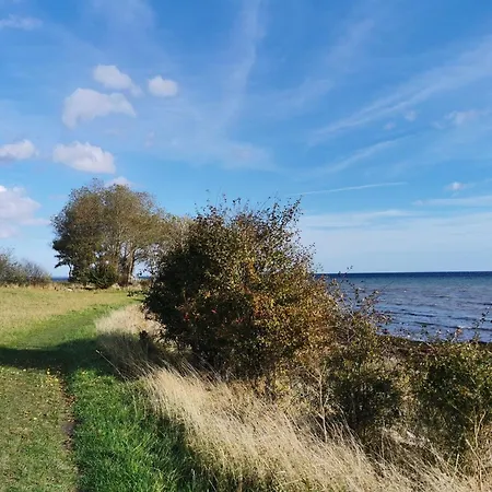 Vier Jahreszeiten I 50 *