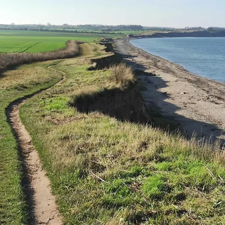 Vier Jahreszeiten I 50