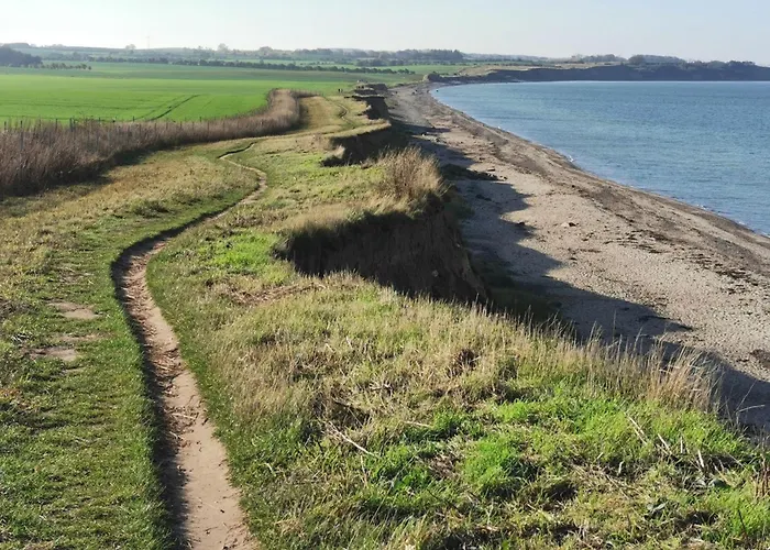 Vier Jahreszeiten I 50